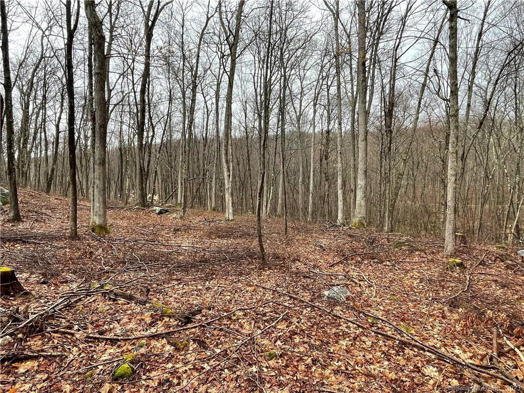 Westwoods Road Sharon CT 06069