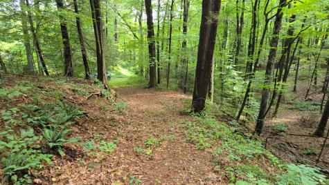 189 West Avon Road Avon CT 06001