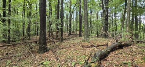 189 West Avon Road Avon CT 06001