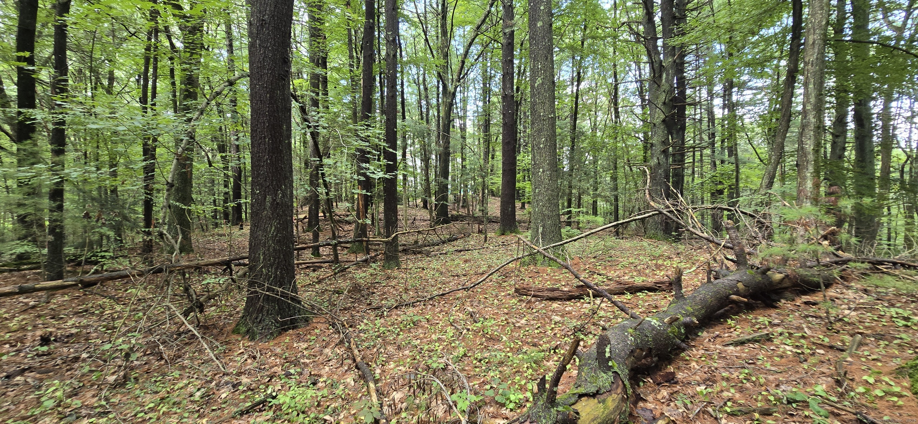 189 West Avon Road Avon CT 06001