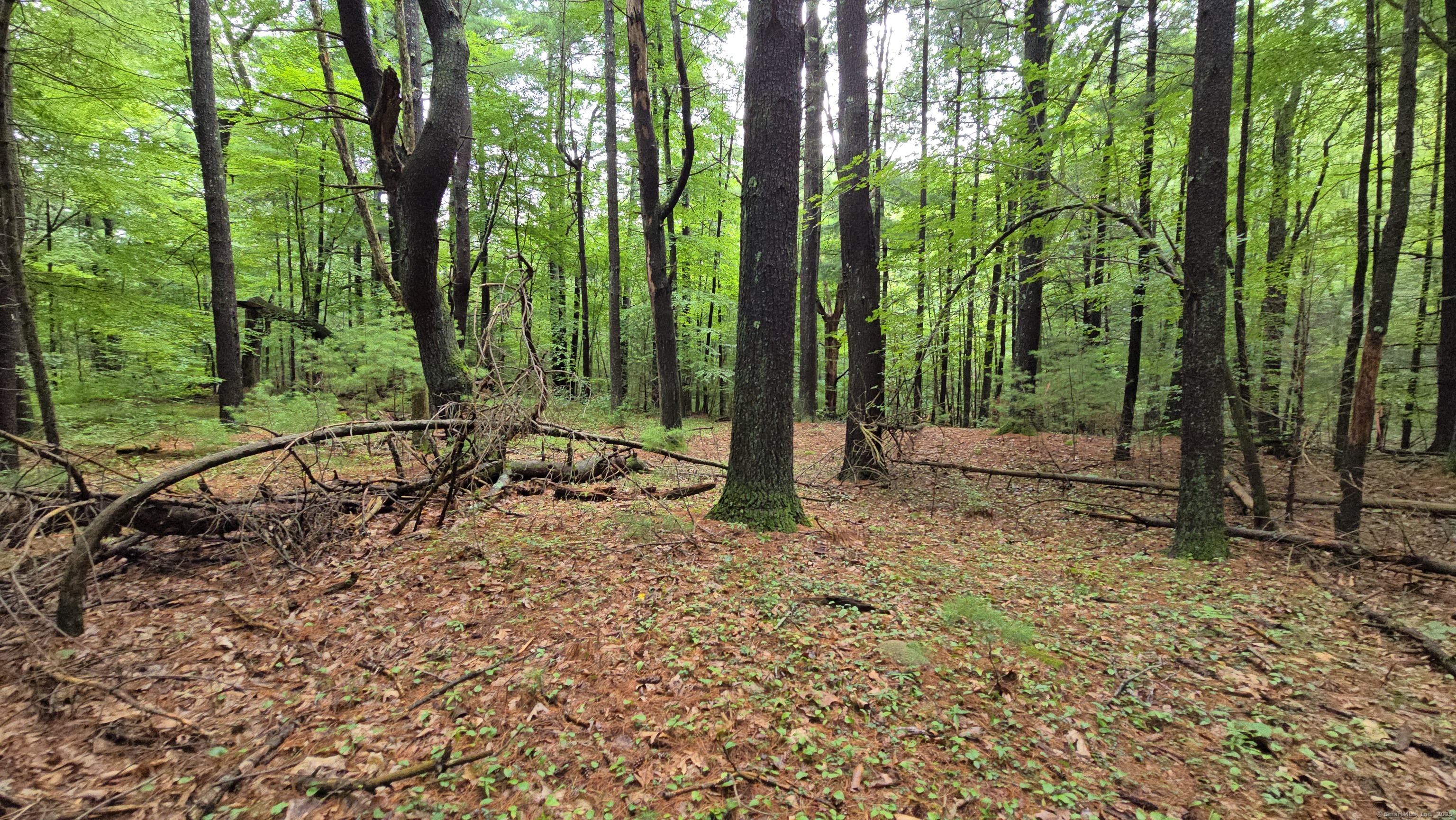 189 West Avon Road Avon CT 06001