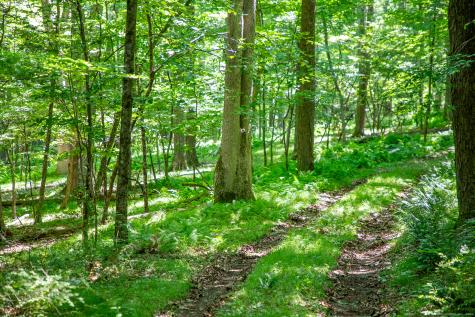 Under Mountain Road Salisbury CT 06068