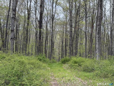 Under Mountain Road Salisbury CT 06068