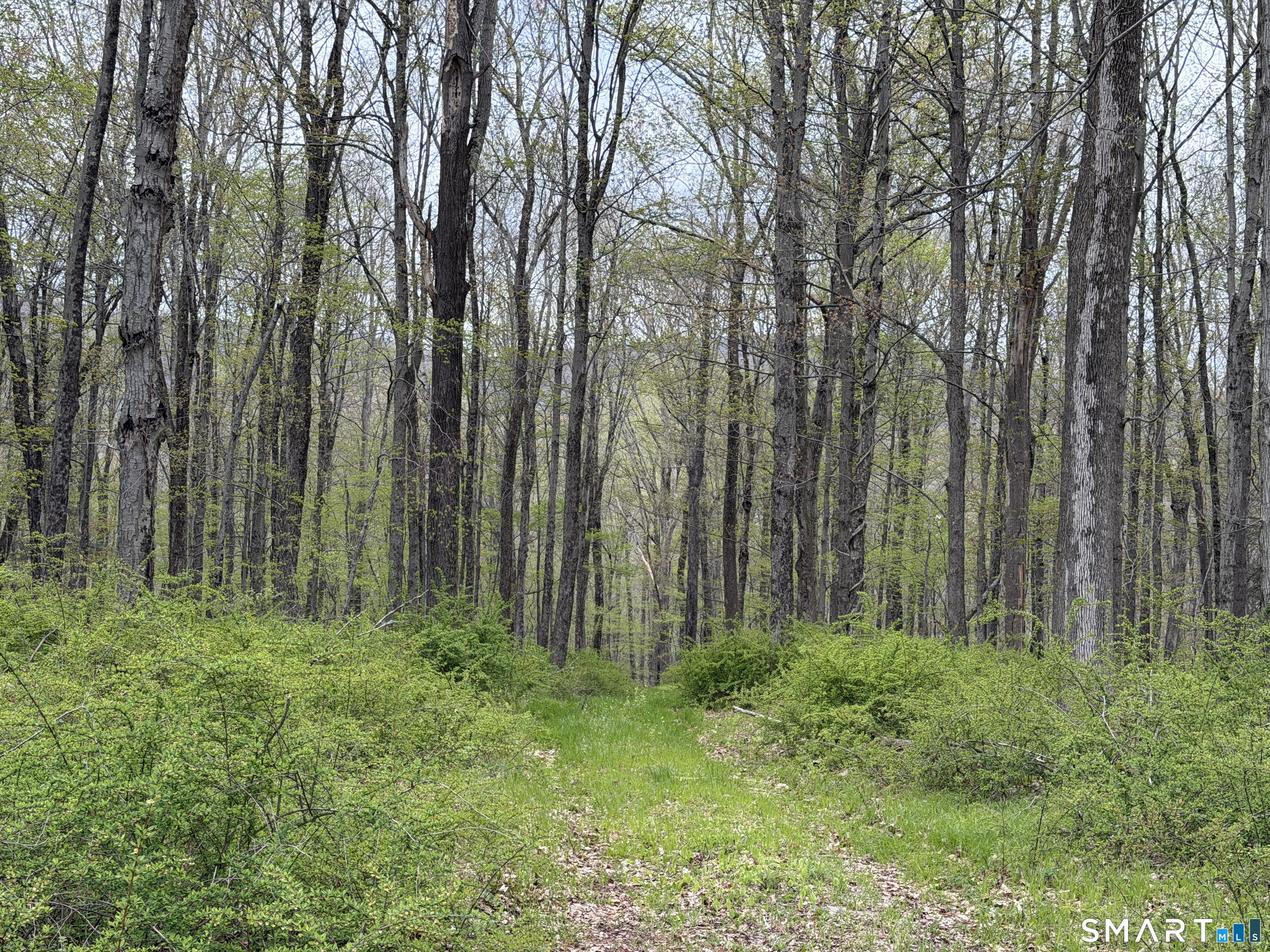 Under Mountain Road Salisbury CT 06068
