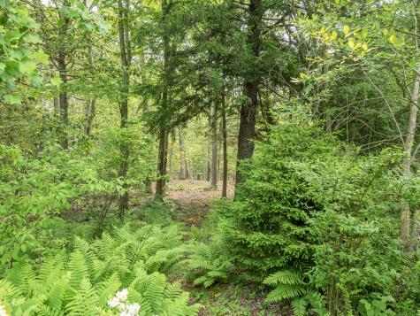 South Salem Road Ridgefield CT 06877