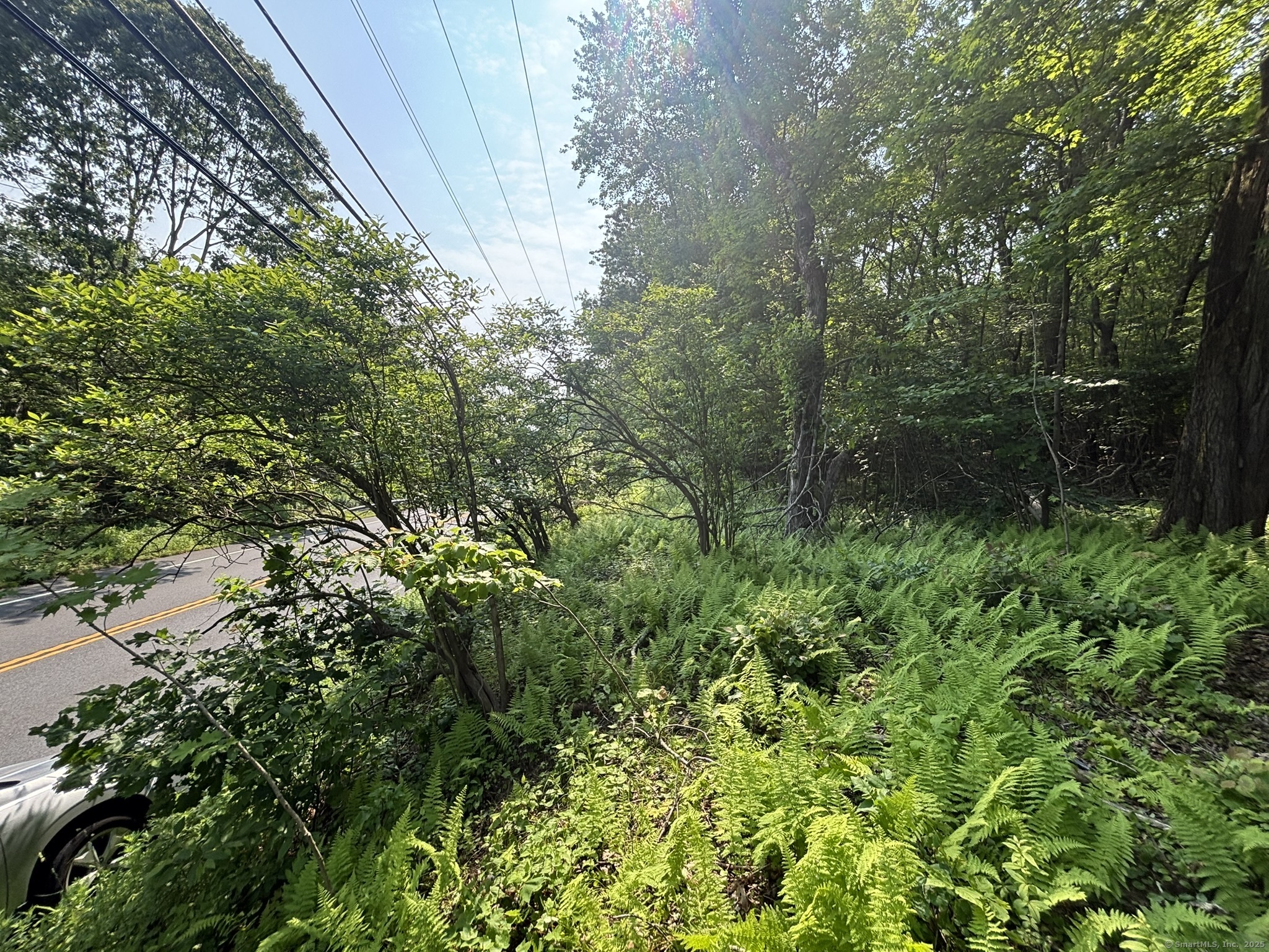 44 Cheshire Road Prospect CT 06712