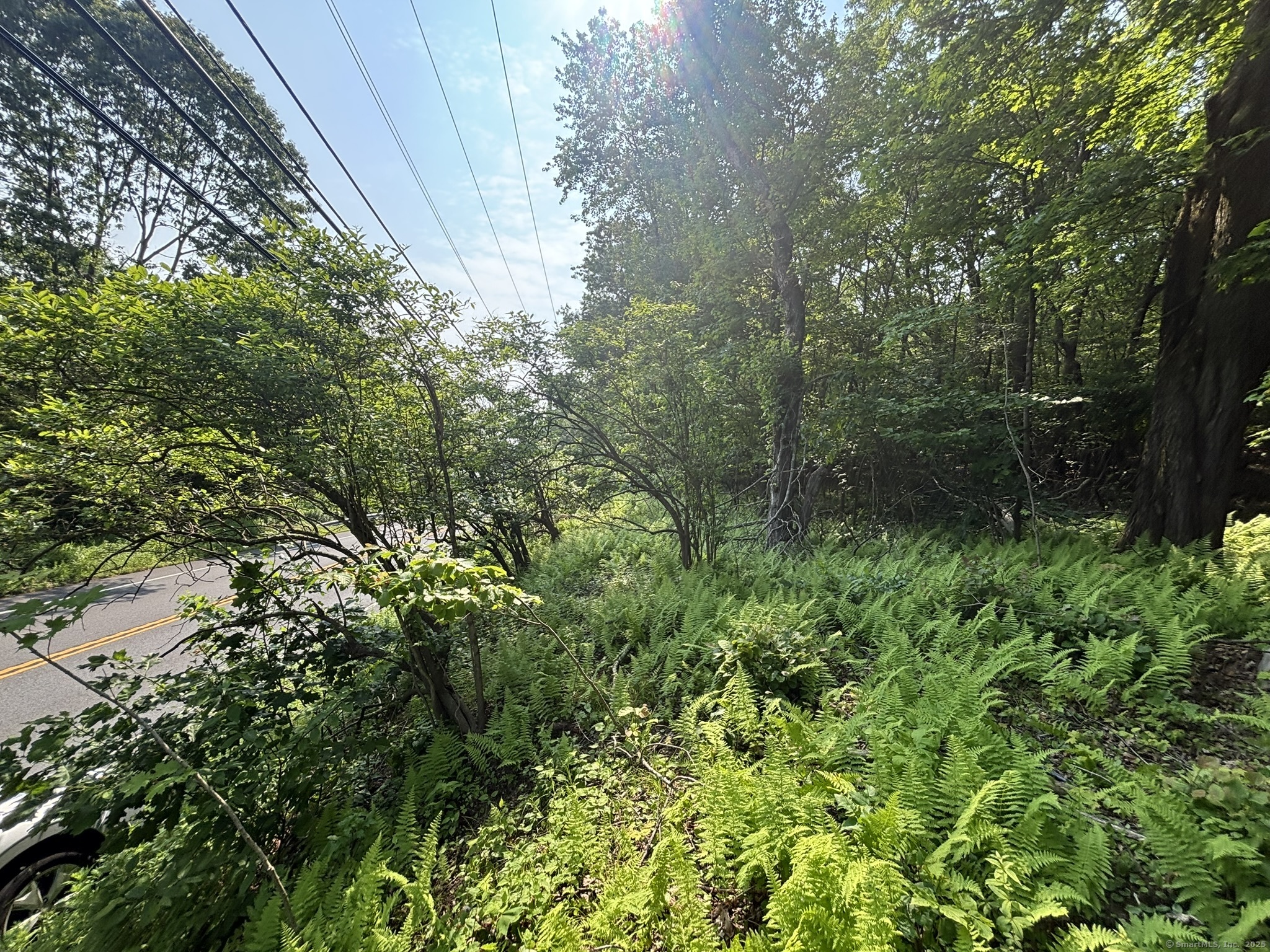 44 Cheshire Road Prospect CT 06712