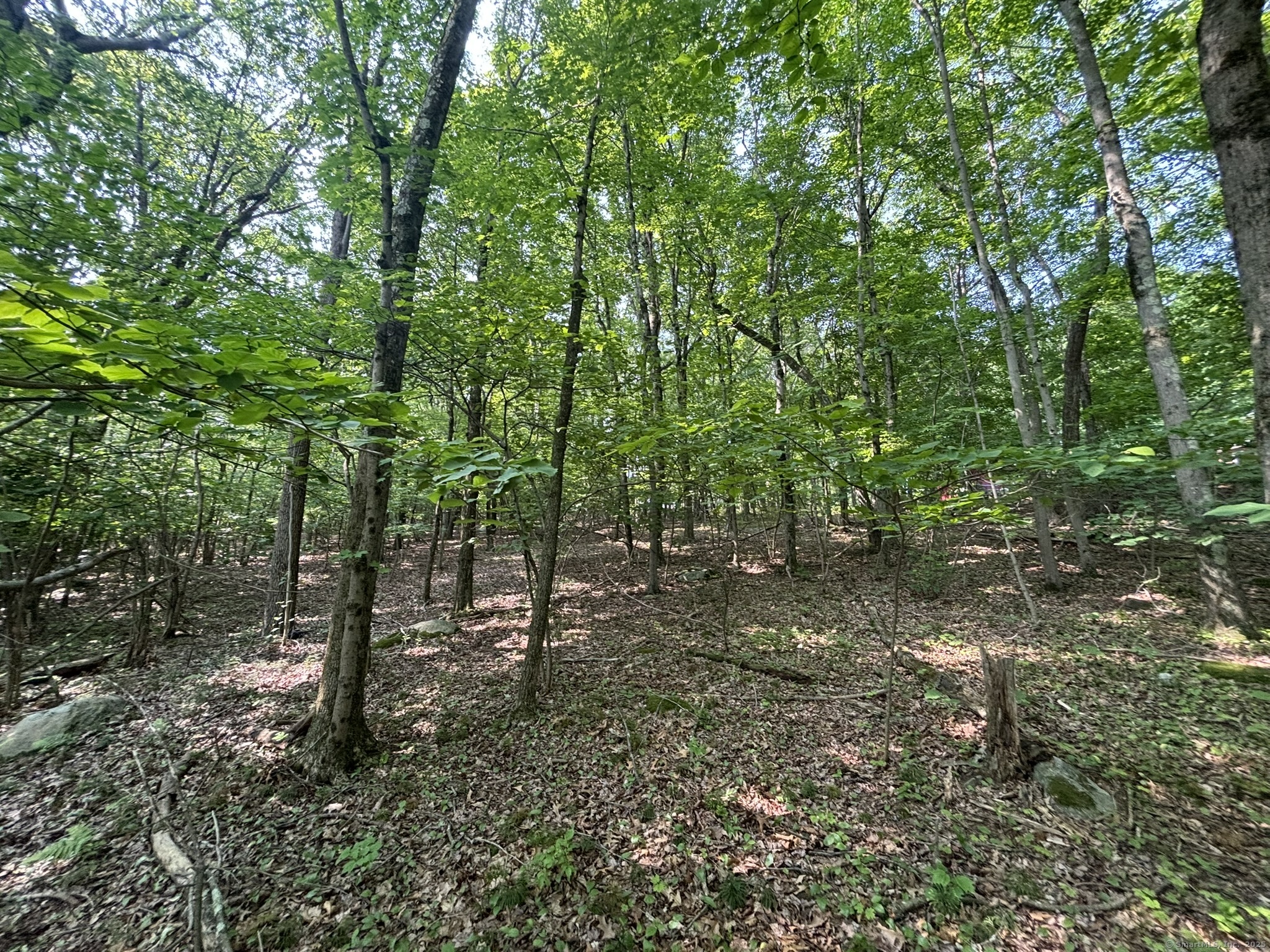 44 Cheshire Road Prospect CT 06712