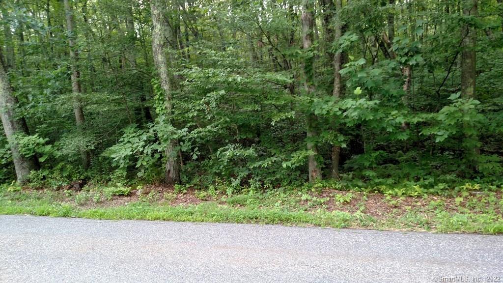 Doubleday Road Columbia CT 06237
