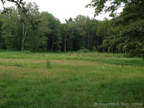 158L Carter Street New Canaan CT 06840