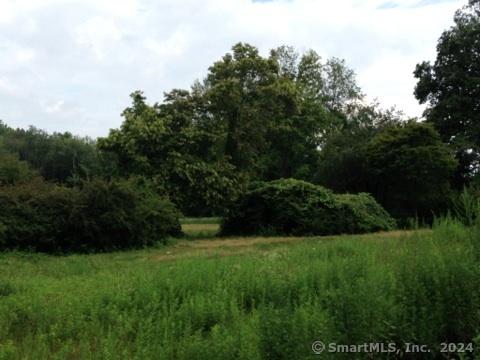158L Carter Street New Canaan CT 06840