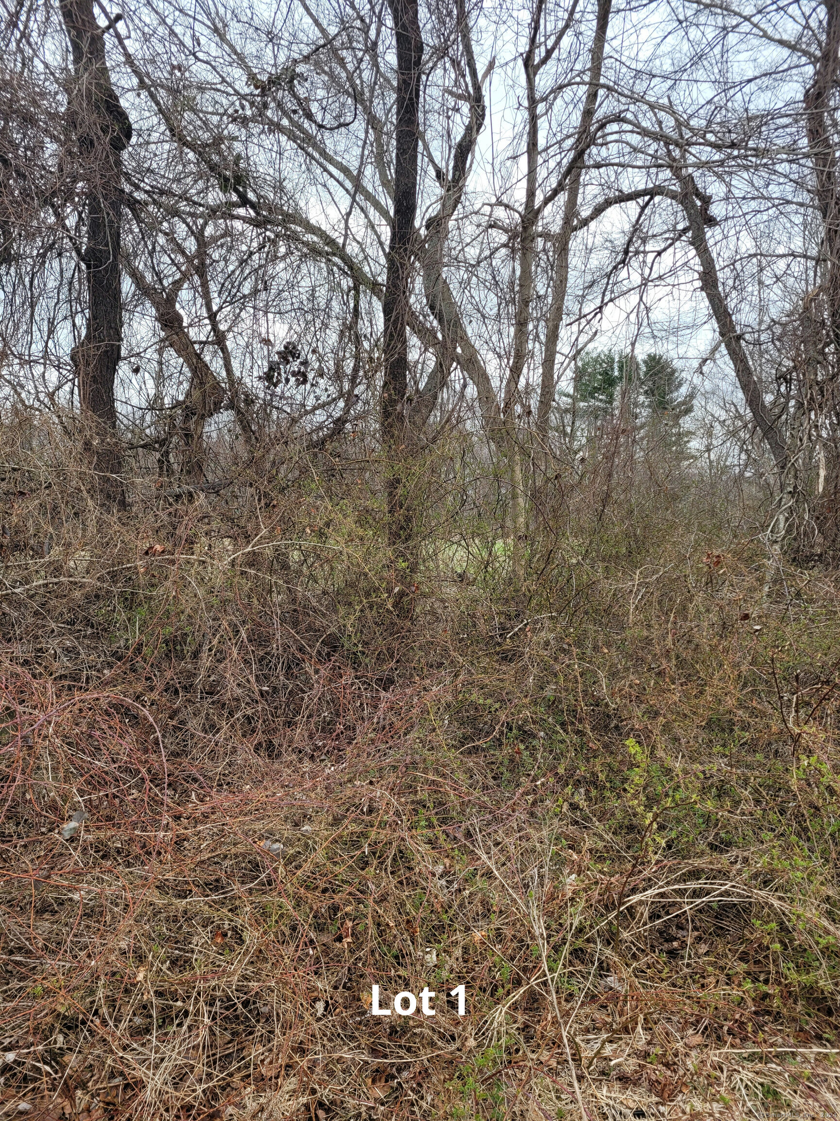 Hebron CT, Lot 1 Church Street