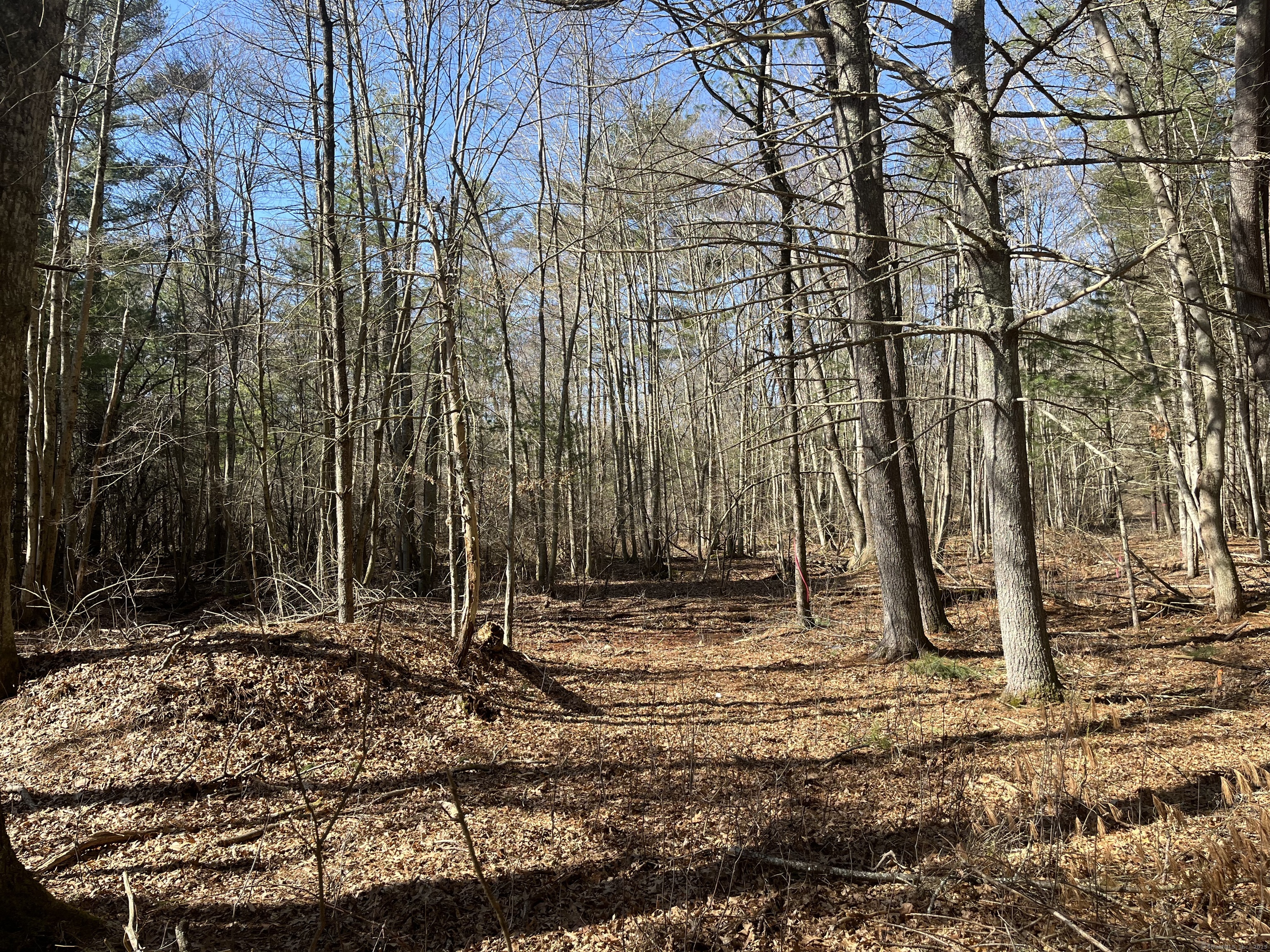 Providence Road Brooklyn CT 06234