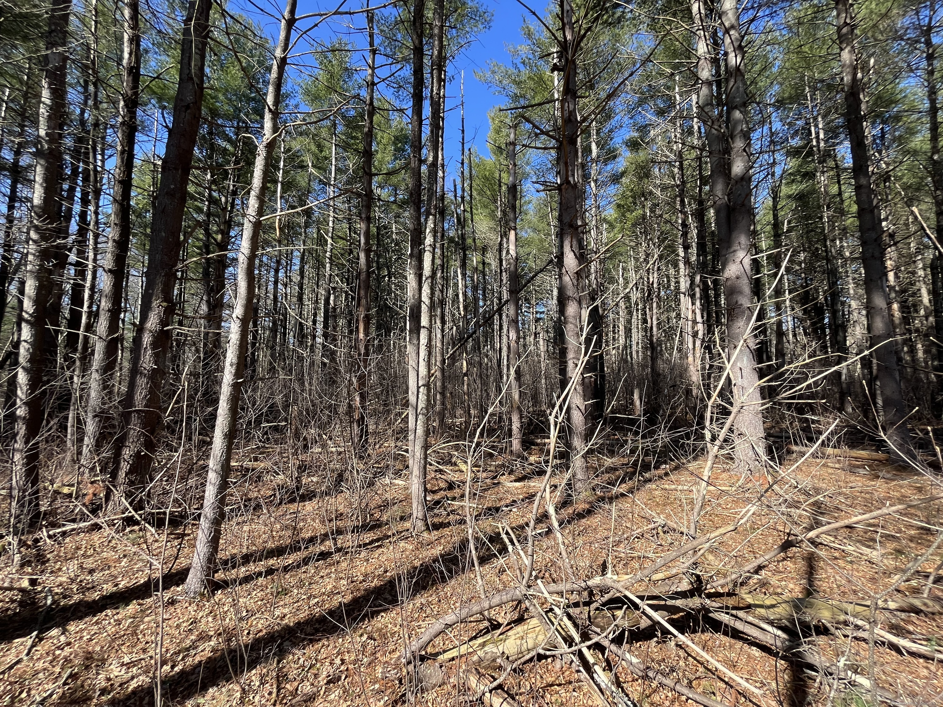 Providence Road Brooklyn CT 06234