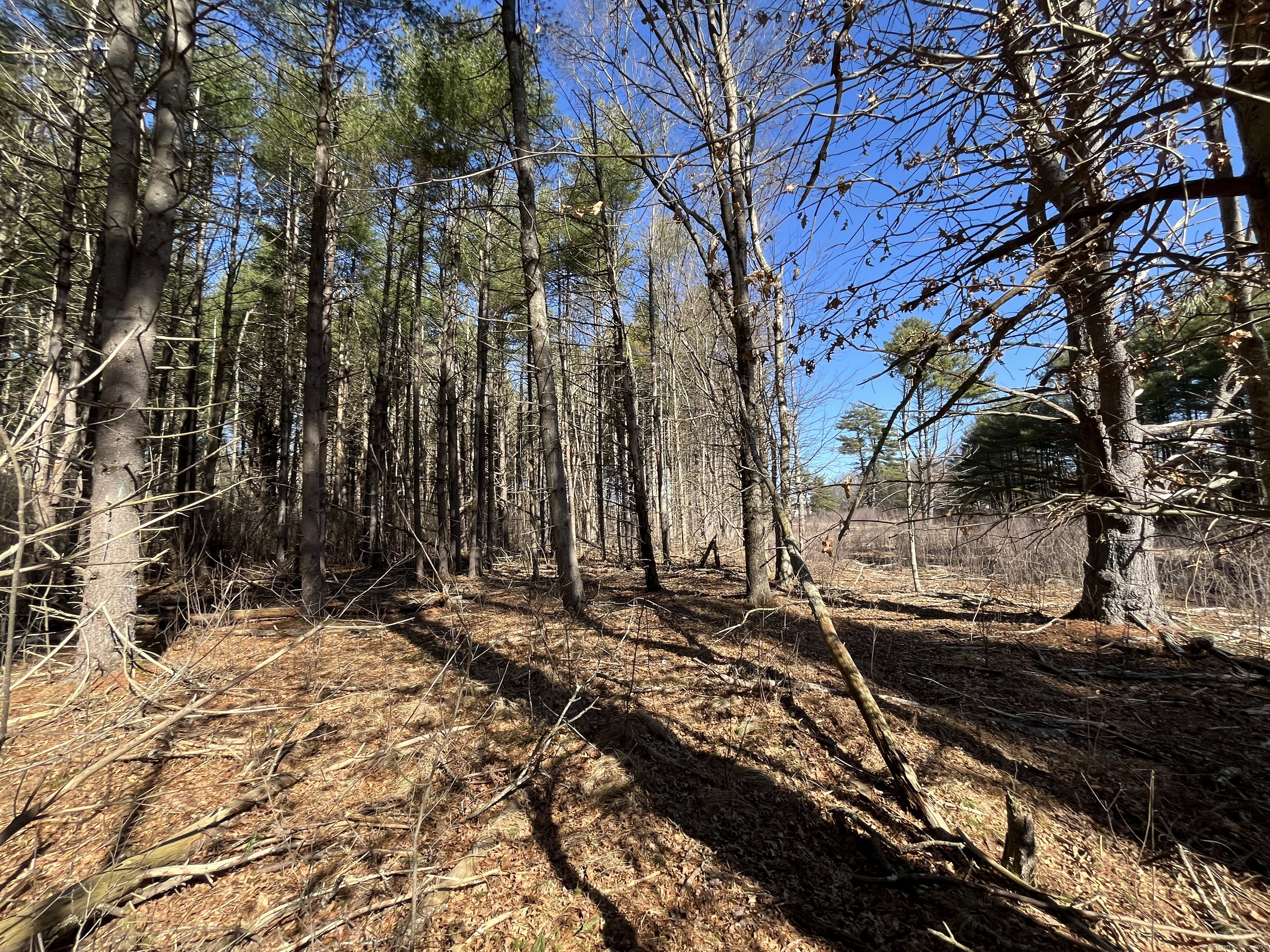 Providence Road Brooklyn CT 06234