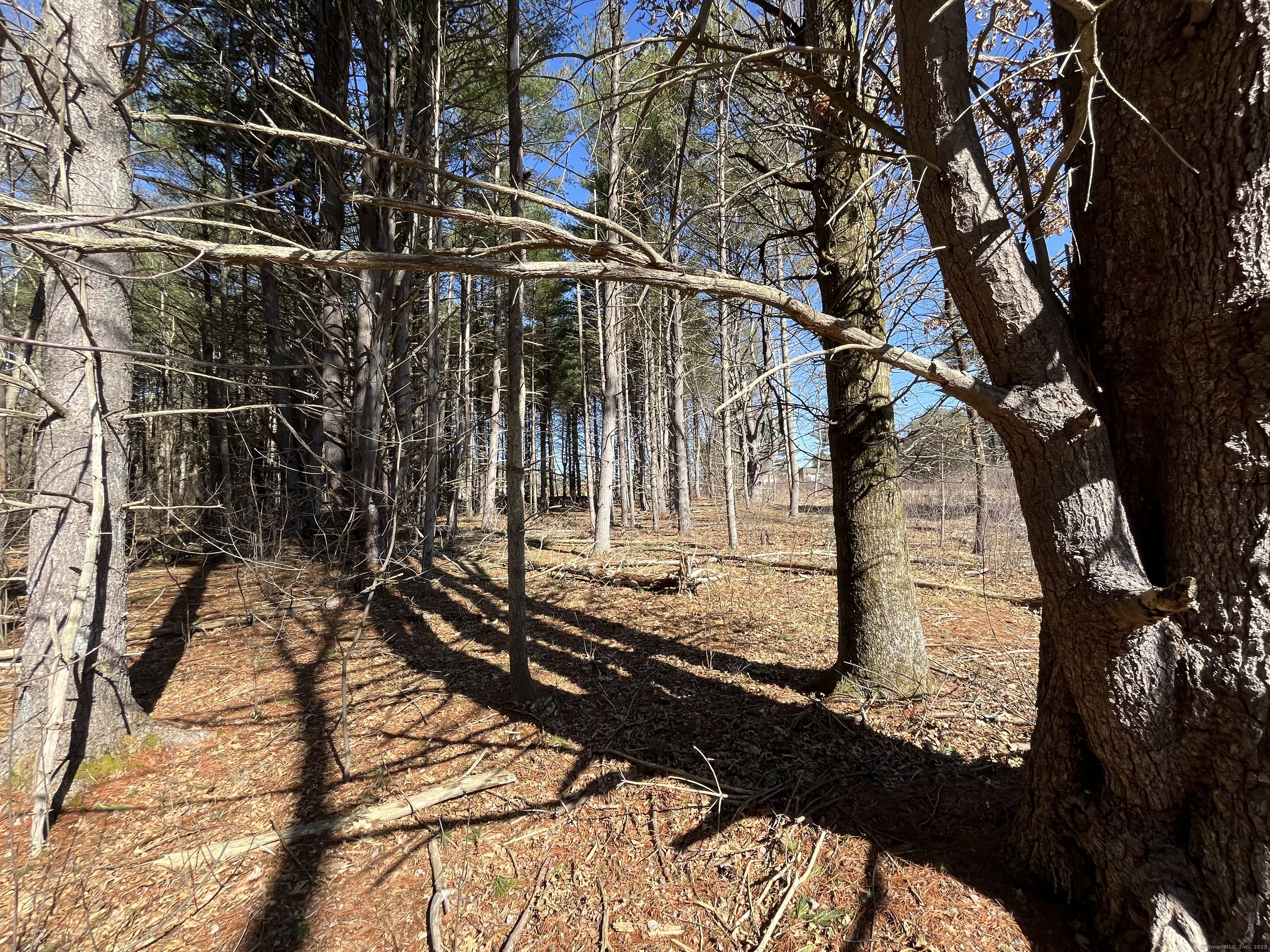 Providence Road Brooklyn CT 06234