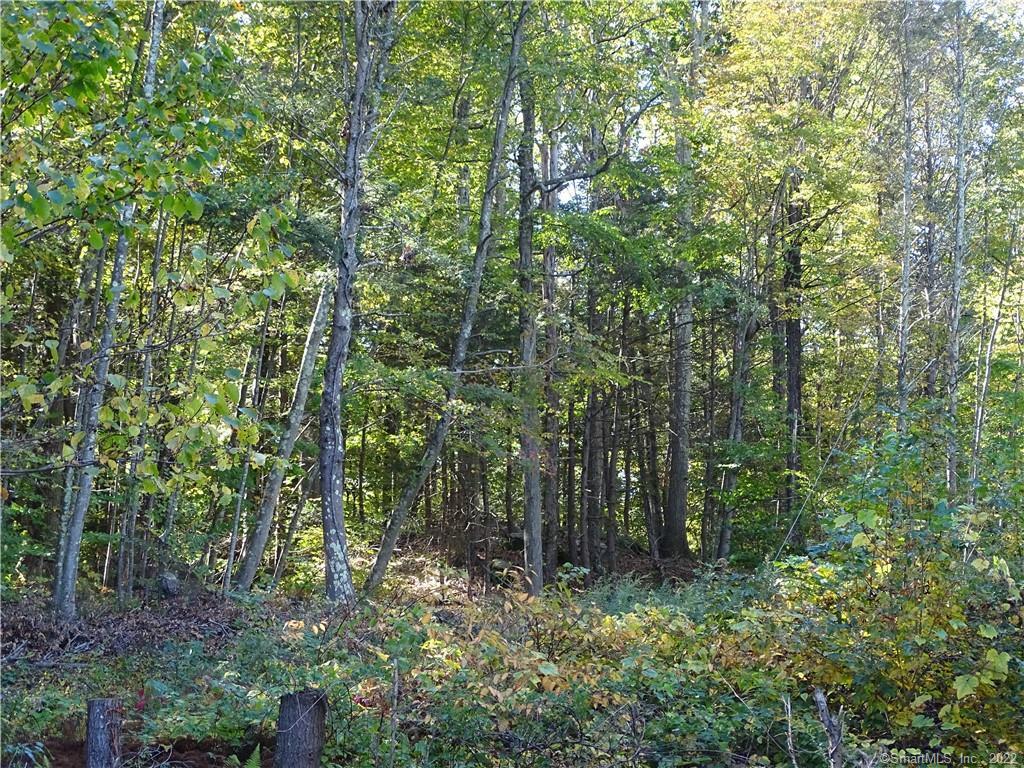 66 Notch Hill Road North Branford CT 06471