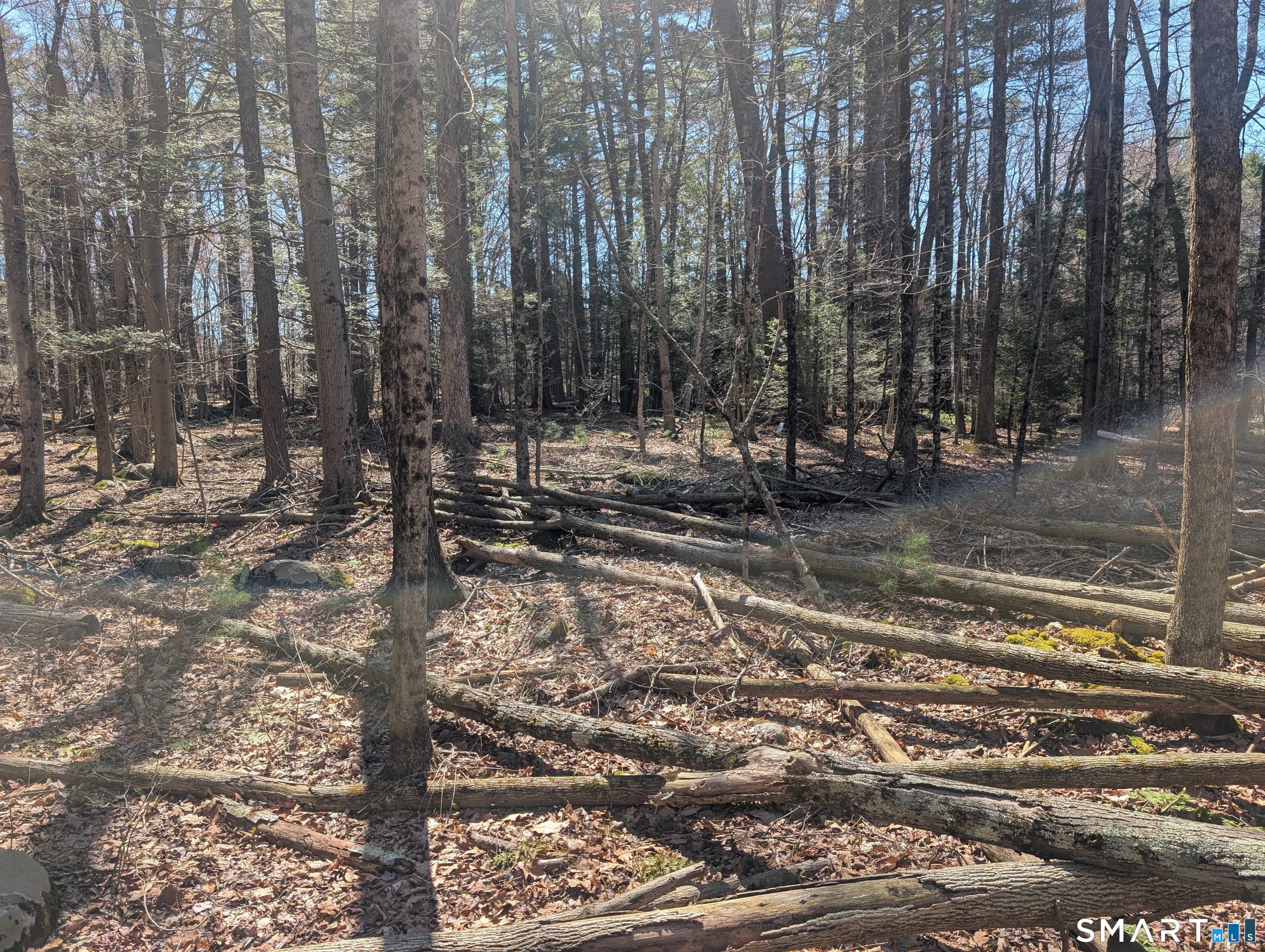3222 Torringford Street Torrington CT 06790