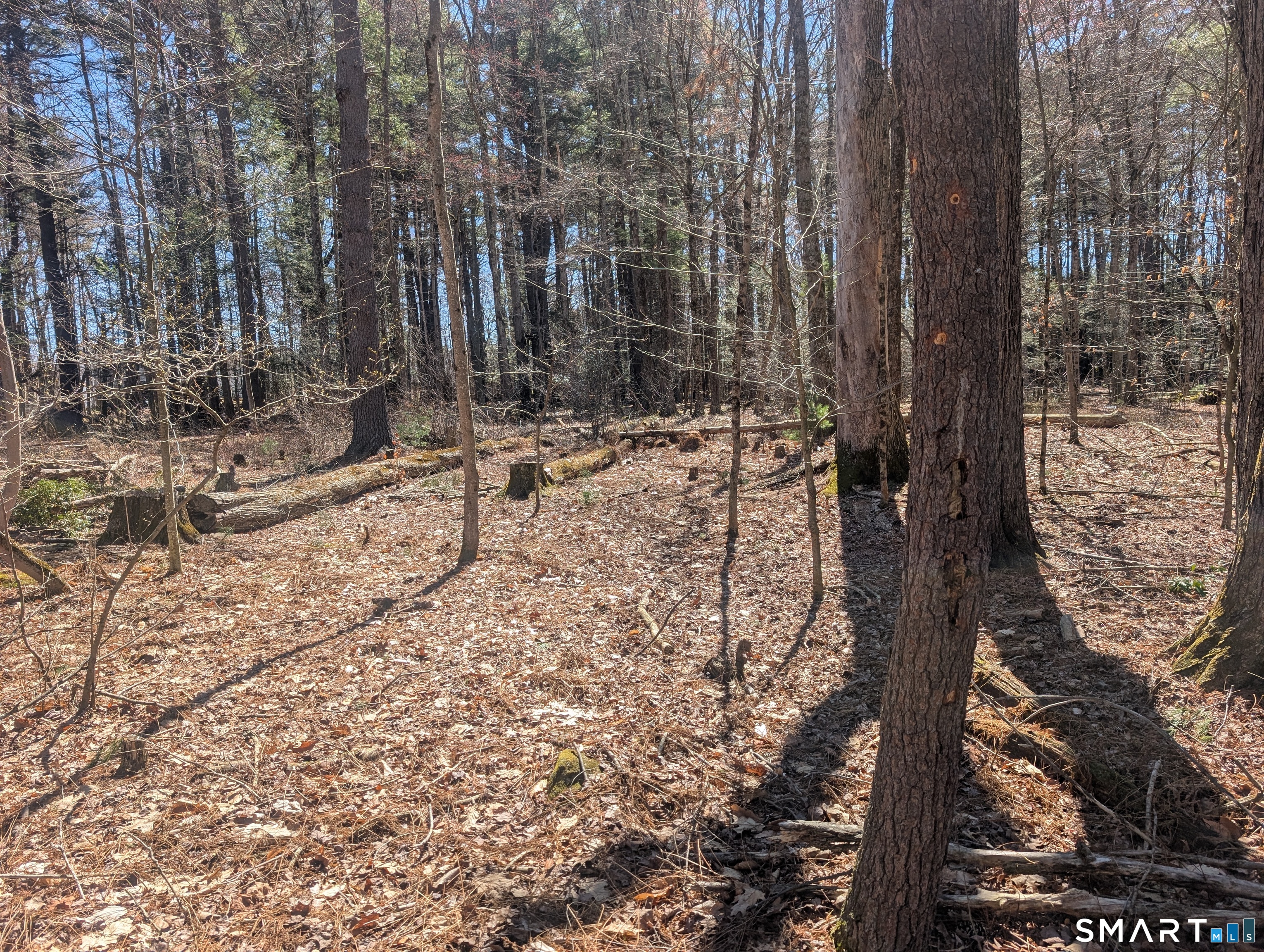 3222 Torringford Street Torrington CT 06790