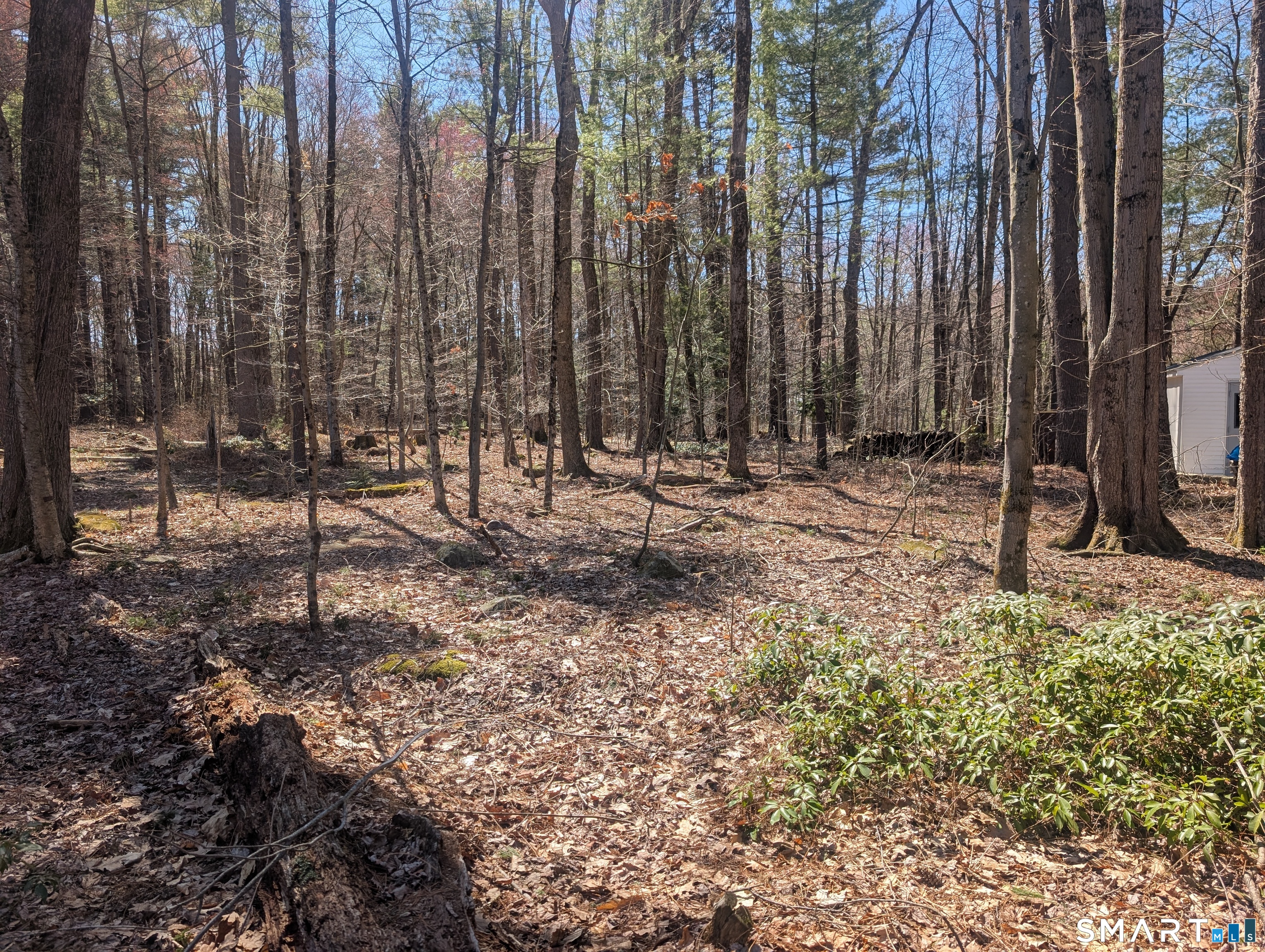 3222 Torringford Street Torrington CT 06790