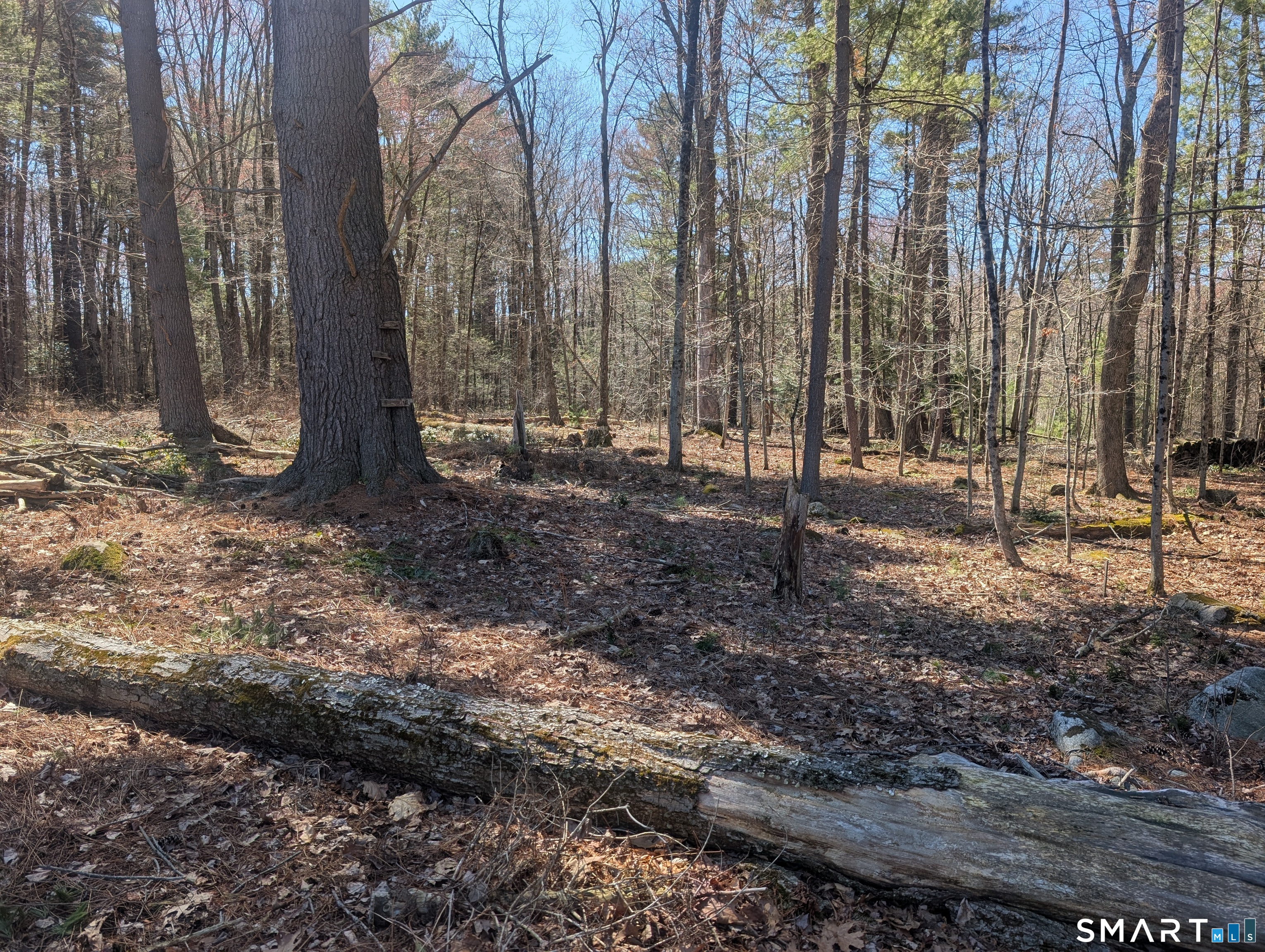 3222 Torringford Street Torrington CT 06790