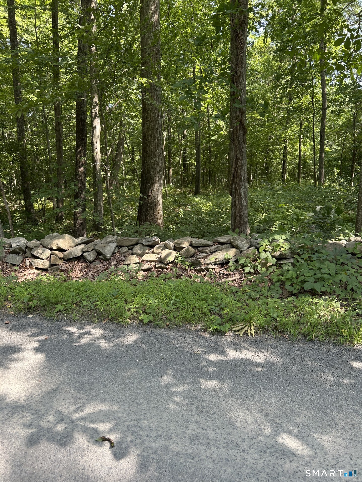 Pond Meadow Road Killingworth CT 06419