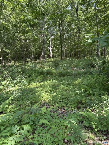 Pond Meadow Road Killingworth CT 06419