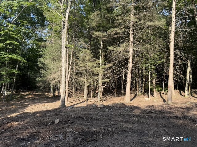 Lot 1 West Chalybes Road Roxbury CT 06783