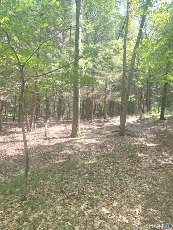 Lot 1 West Chalybes Road Roxbury CT 06783