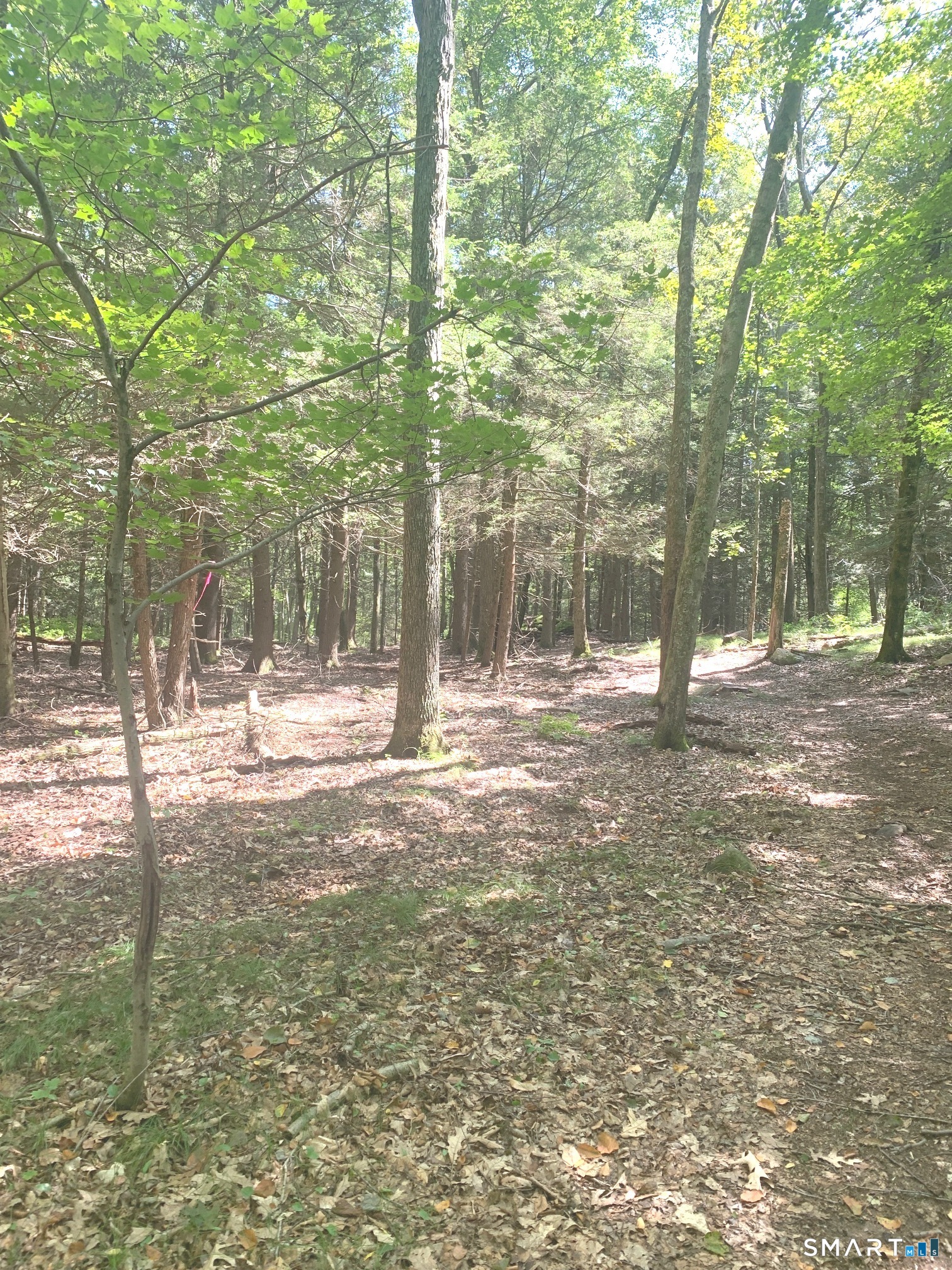 Lot 1 West Chalybes Road Roxbury CT 06783