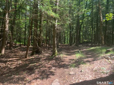 Lot 1 West Chalybes Road Roxbury CT 06783