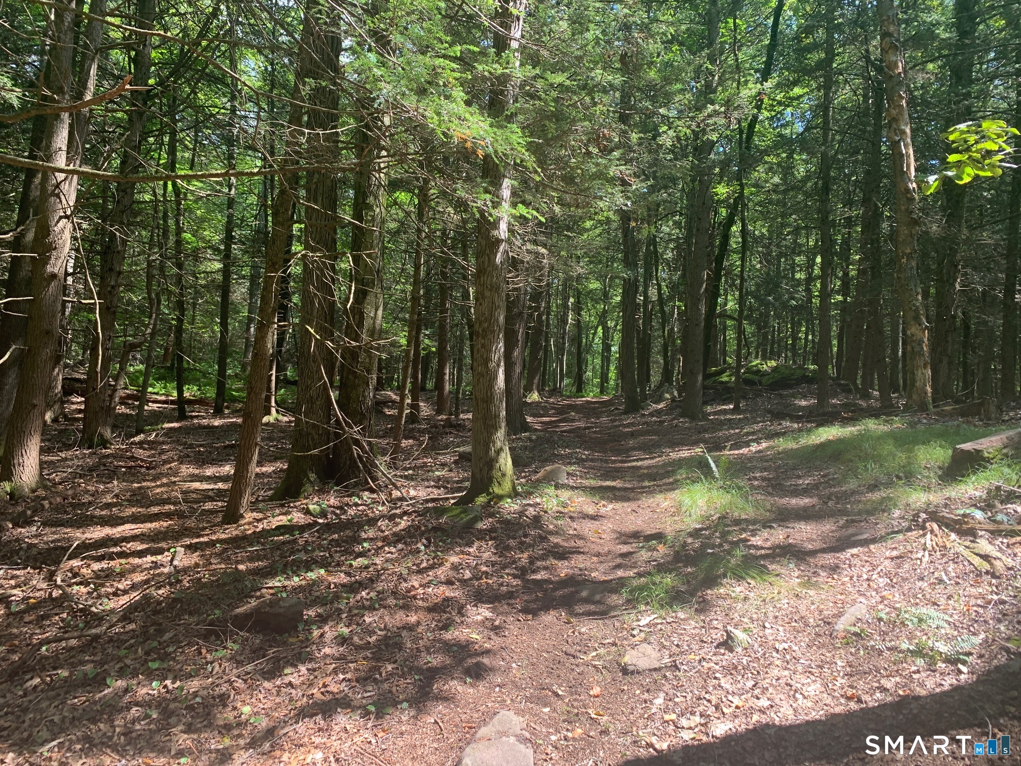 Lot 1 West Chalybes Road Roxbury CT 06783