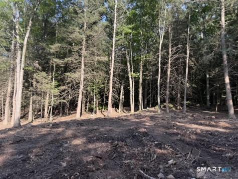 Lot 1 West Chalybes Road Roxbury CT 06783