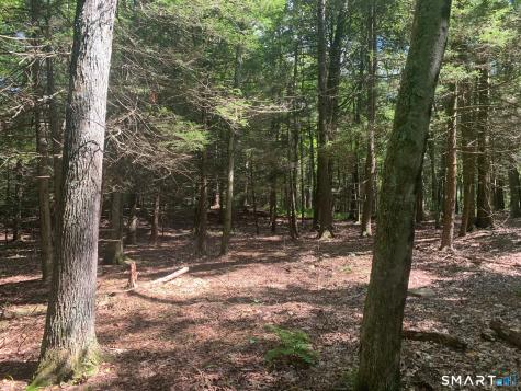Lot 1 West Chalybes Road Roxbury CT 06783