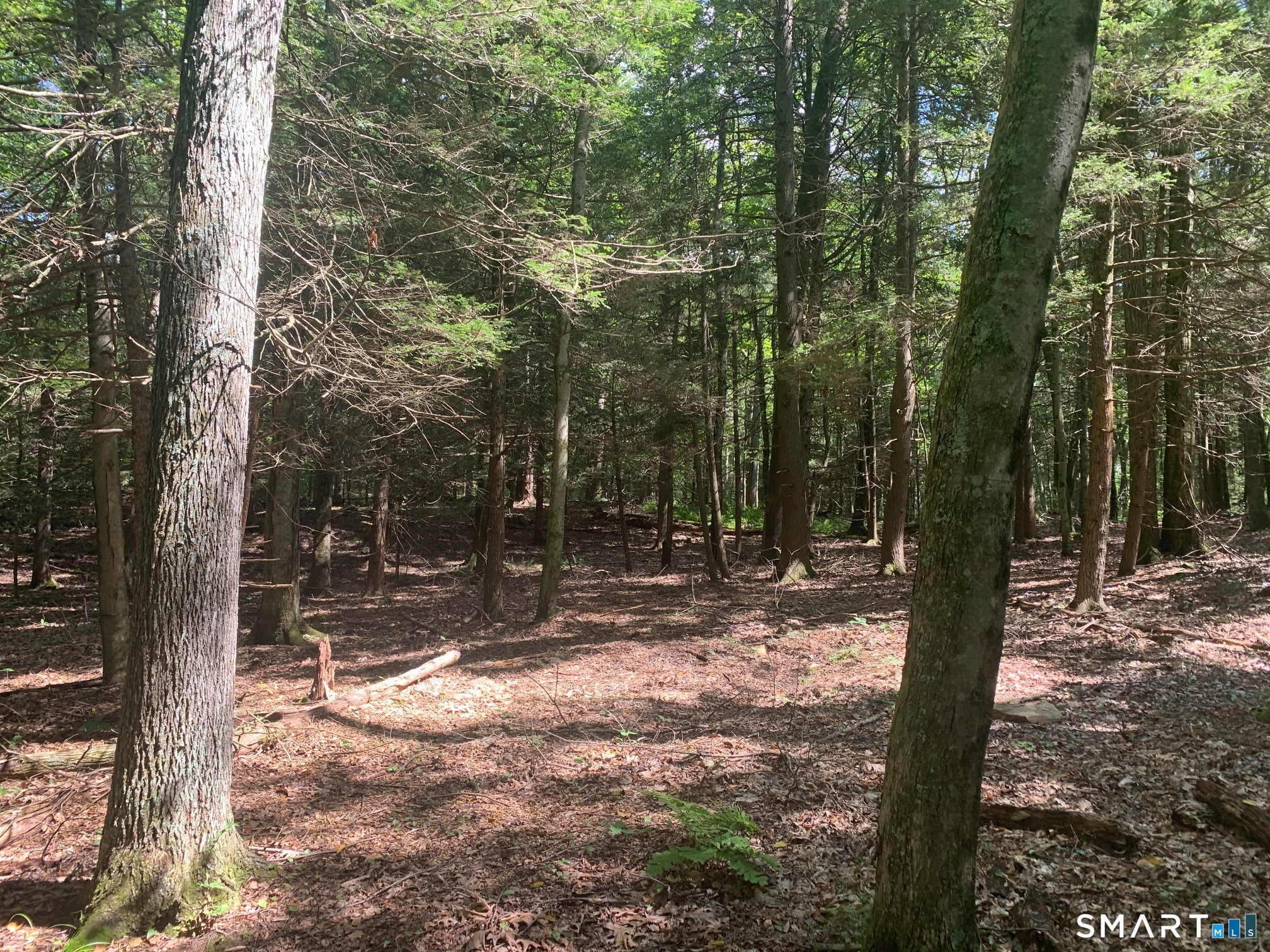 Lot 1 West Chalybes Road Roxbury CT 06783