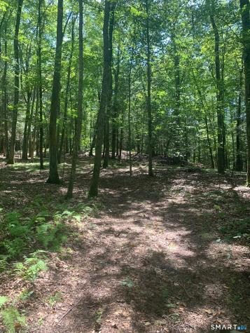 Lot 1 West Chalybes Road Roxbury CT 06783