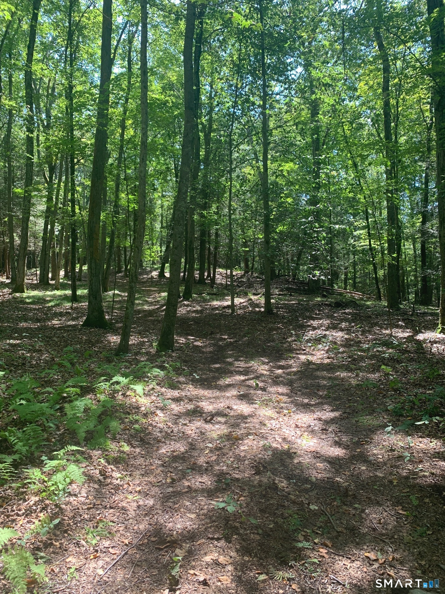 Lot 1 West Chalybes Road Roxbury CT 06783