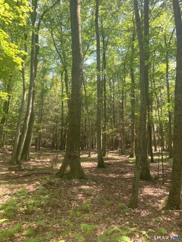Lot 1 West Chalybes Road Roxbury CT 06783
