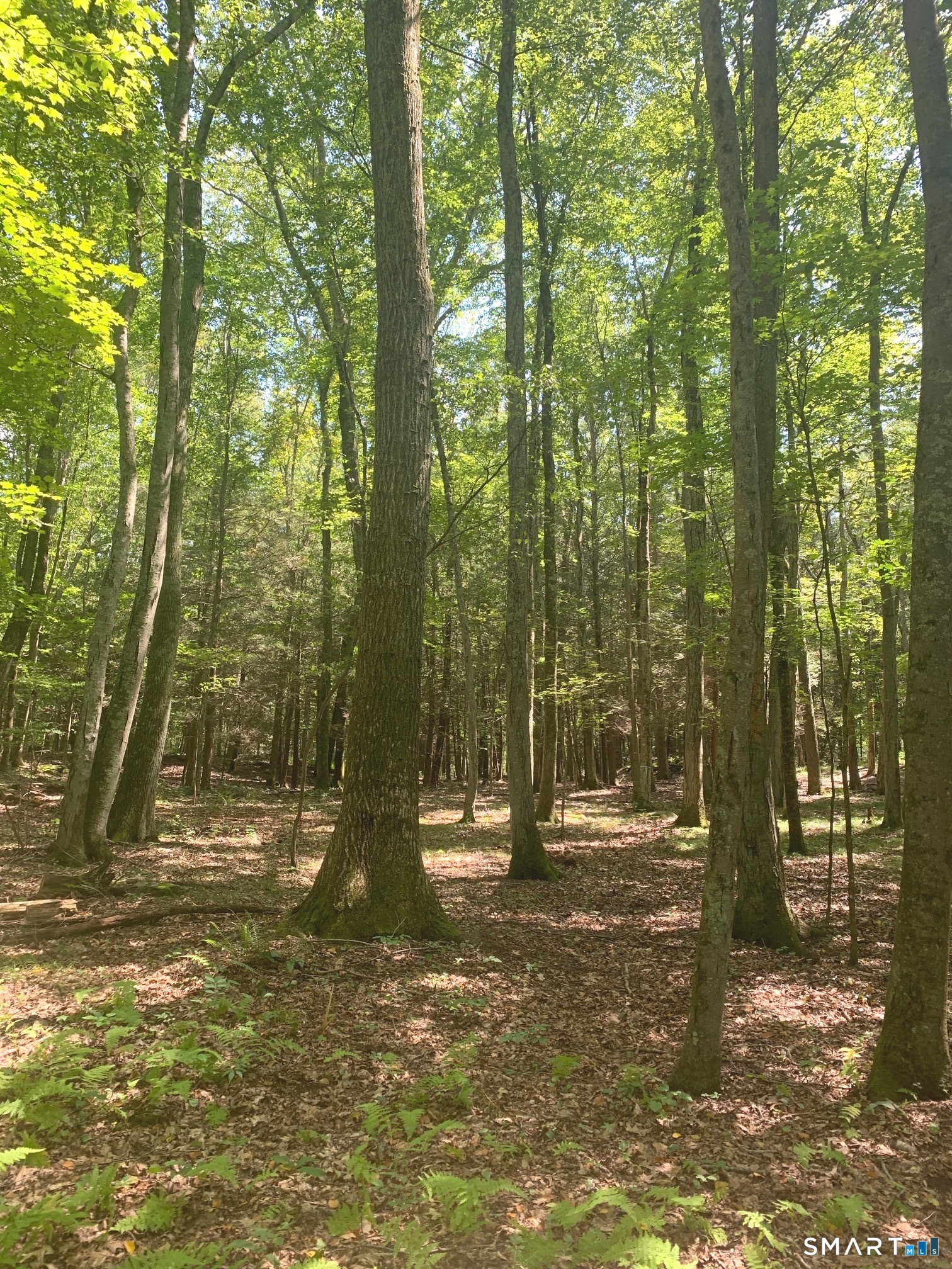 Lot 1 West Chalybes Road Roxbury CT 06783