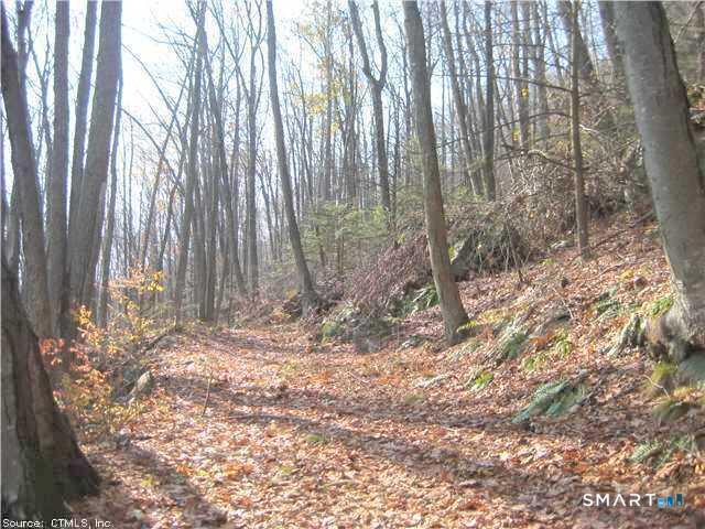 168 Cascade Ridge Southington CT 06489