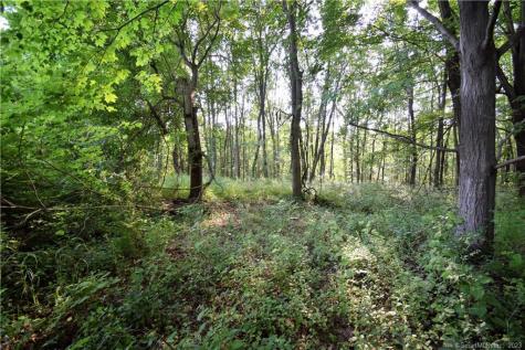 LOT 28B Bruce Lane Guilford CT 06437