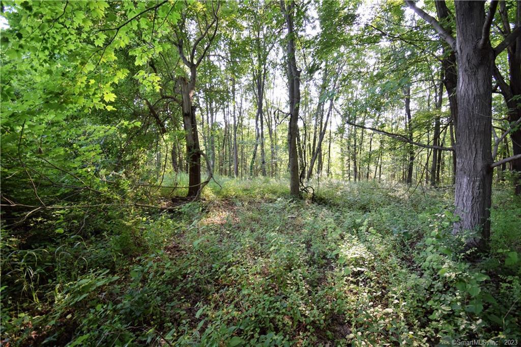 LOT 28B Bruce Lane Guilford CT 06437