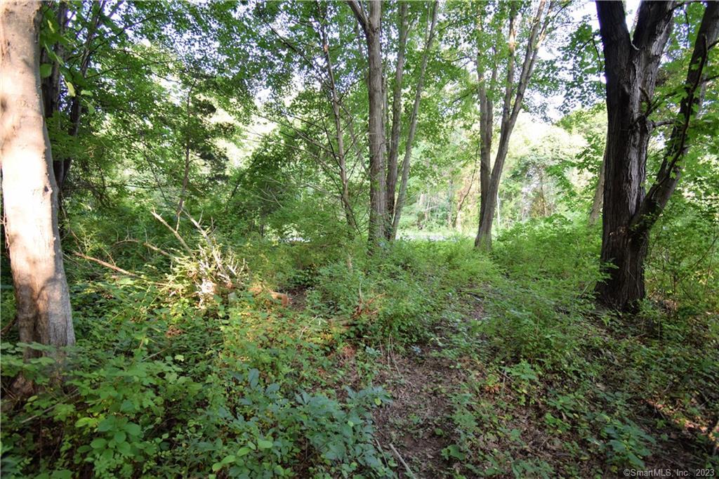 LOT 28B Bruce Lane Guilford CT 06437