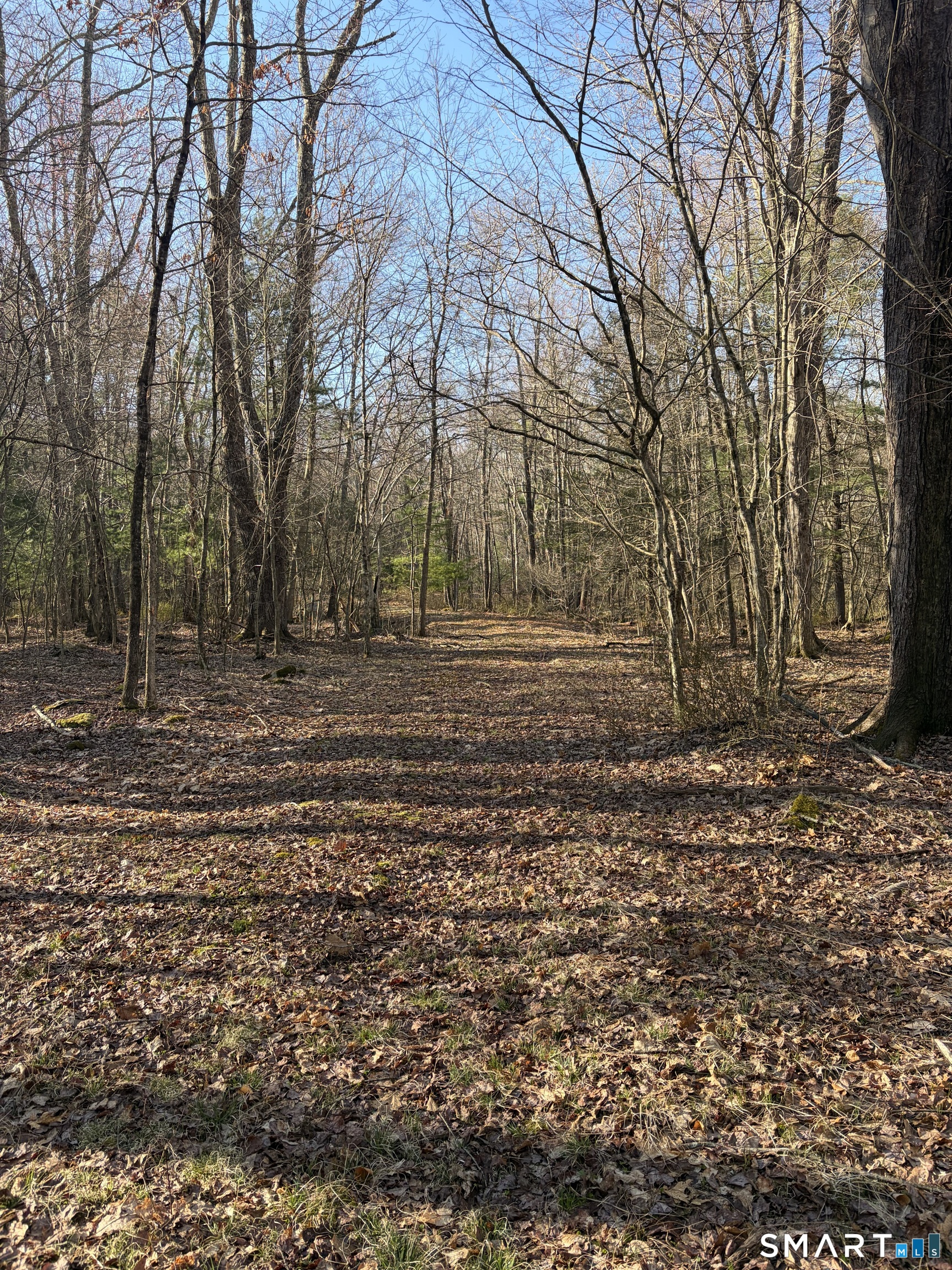 Willington Hill Road Willington CT 06279