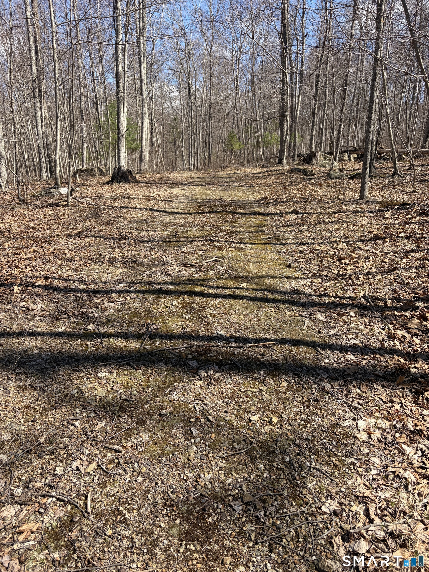 Willington Hill Road Willington CT 06279