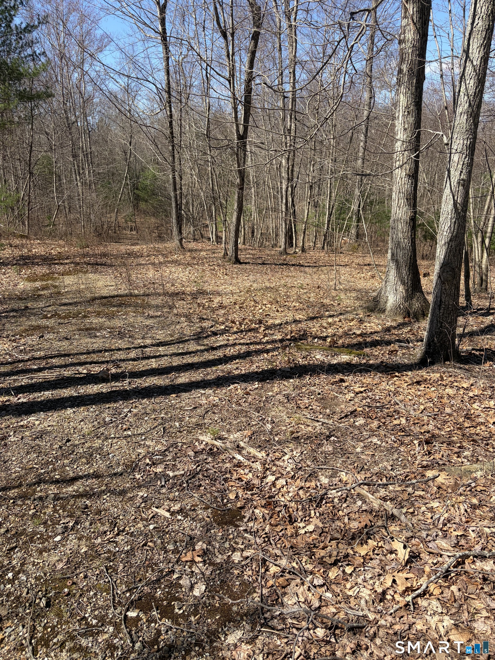 Willington Hill Road Willington CT 06279
