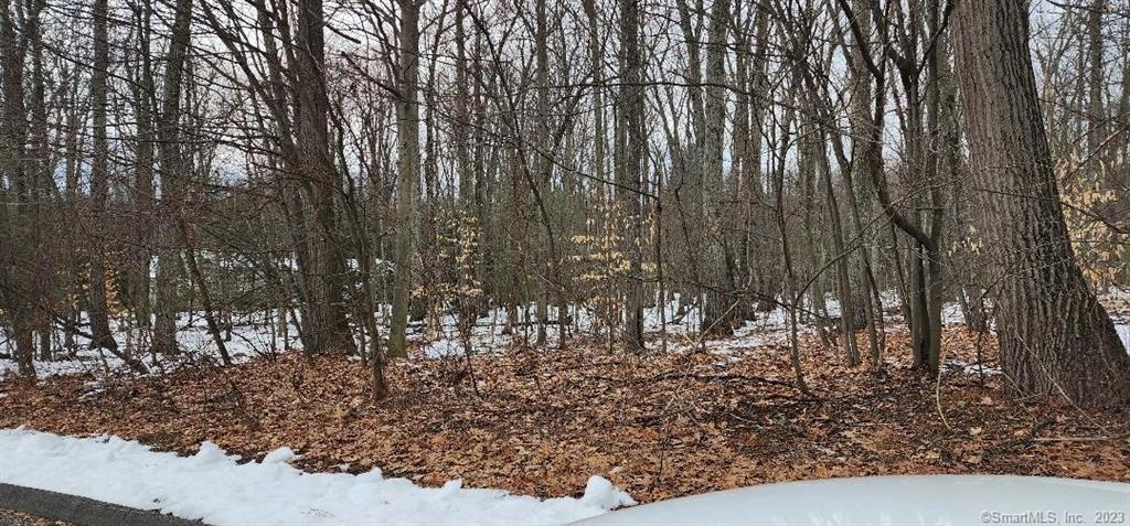 6 Westland Road Avon CT 06001