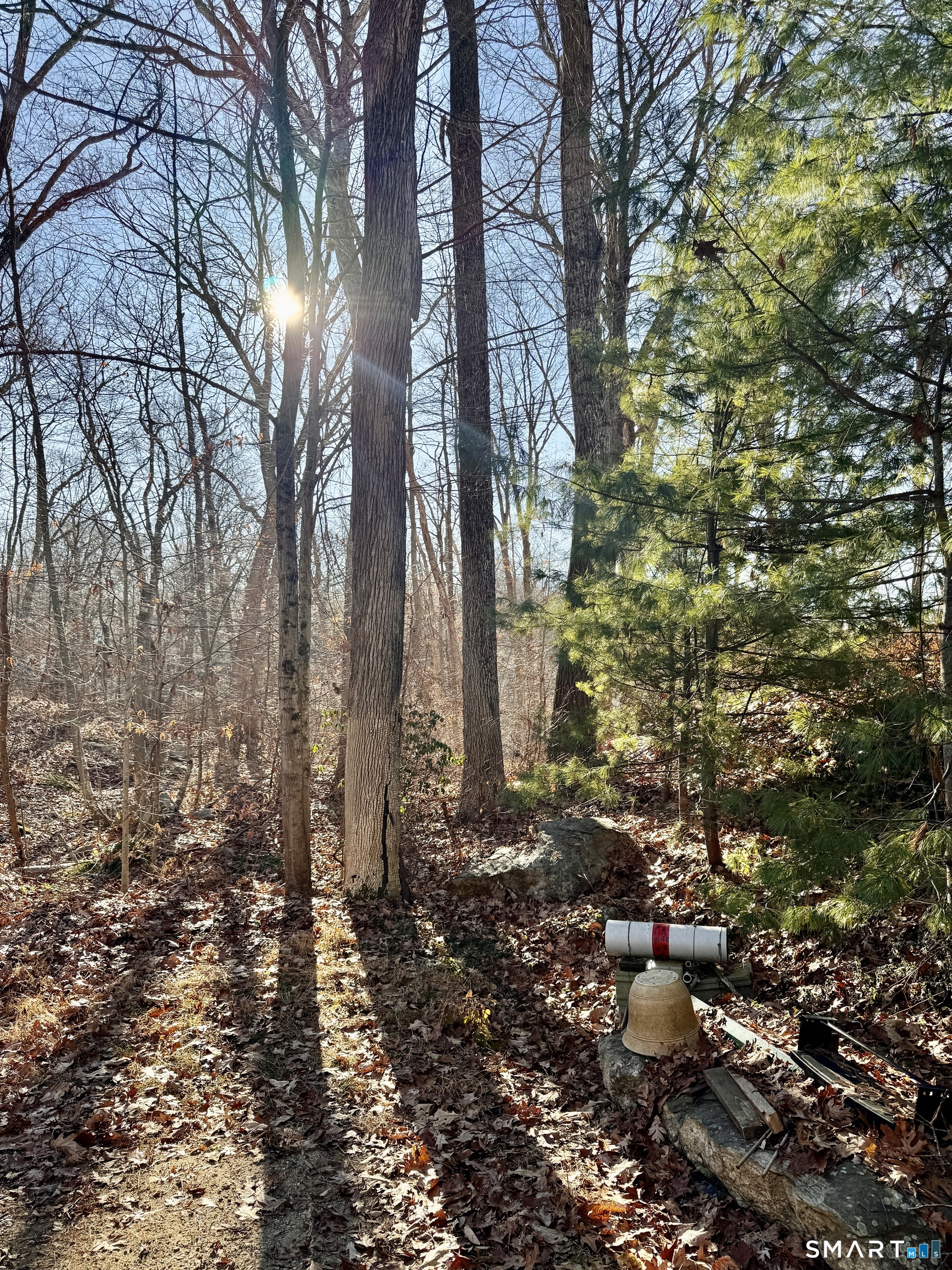 Ryan Terrace Lebanon CT 06249