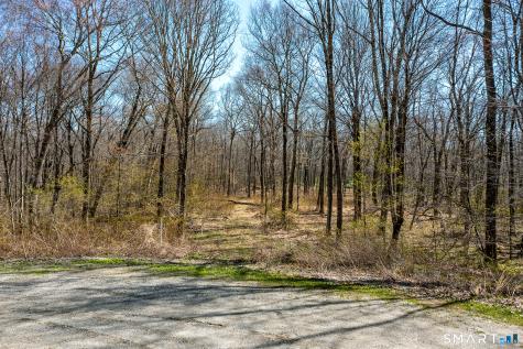 22 Old Paddock Lane Kent CT 06785