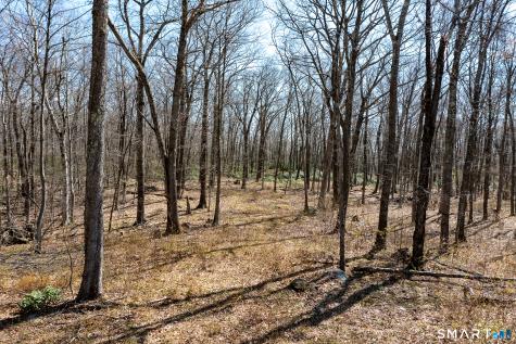22 Old Paddock Lane Kent CT 06785